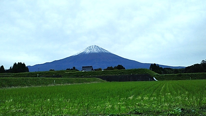 ついに「初冠雪」!